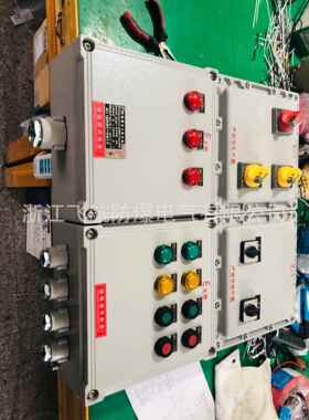 防爆防腐配电箱 bxm(d)51-6/32k防爆照明动力配电箱