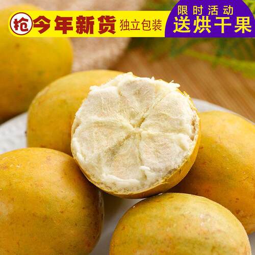 新疆包邮广西桂林永福罗汉果茶黄金果特产低温脱水独立小包装干