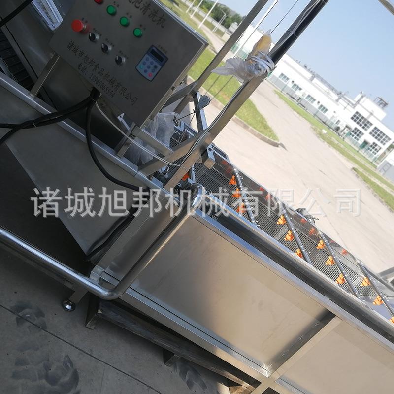 气泡翻浪蔬菜清洗机厂家 叶类蔬菜清洗设备 喷淋式玉米秋葵洗泥机