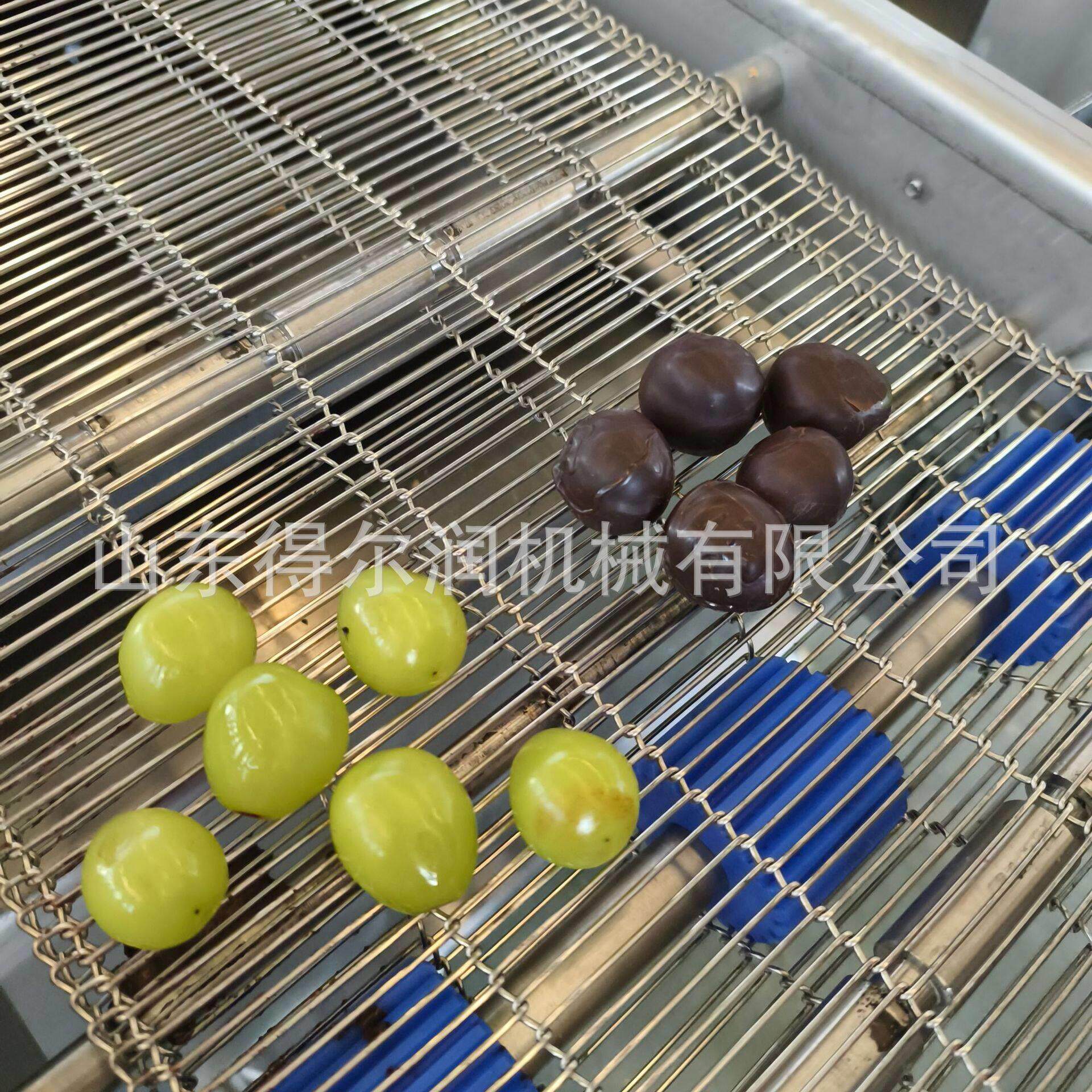 冷冻草莓蓝莓巧克力涂层机 圆盘裹粉料机 12米低温冷却隧道 现货