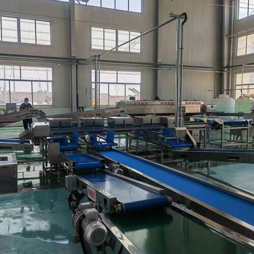 玉米分选机玉豆长度检测分选设备中衡供应多通道长度分拣机