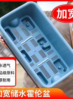 欧林泽花盆种菜盆家用简约阳台种菜盆楼顶种菜专用盆自吸水特大号