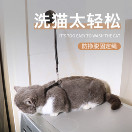 猫咪洗澡神器洗猫剪指甲防抓防咬固定器宠物美容，桌拴猫绳子防挣脱