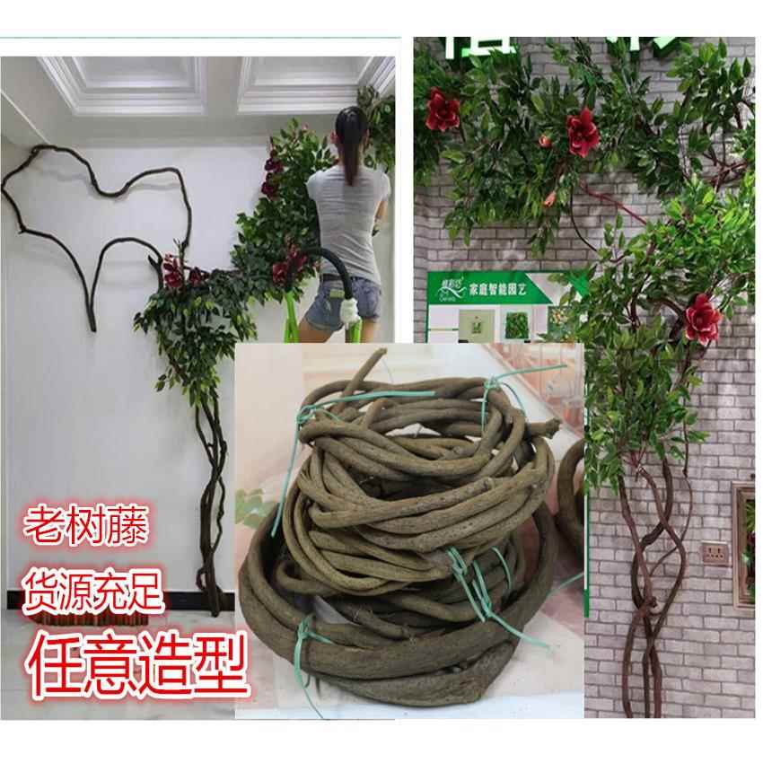 树藤枯藤门头装饰藤悬吊式天花板装饰藤加粗干树藤山藤条藤蔓墙壁