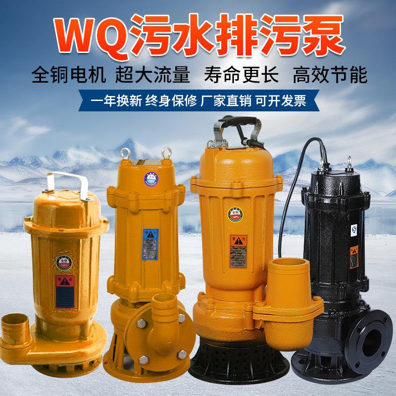 污水泵220v家用排污抽粪泥浆农用高扬程三相小型抽水机潜水泵380v