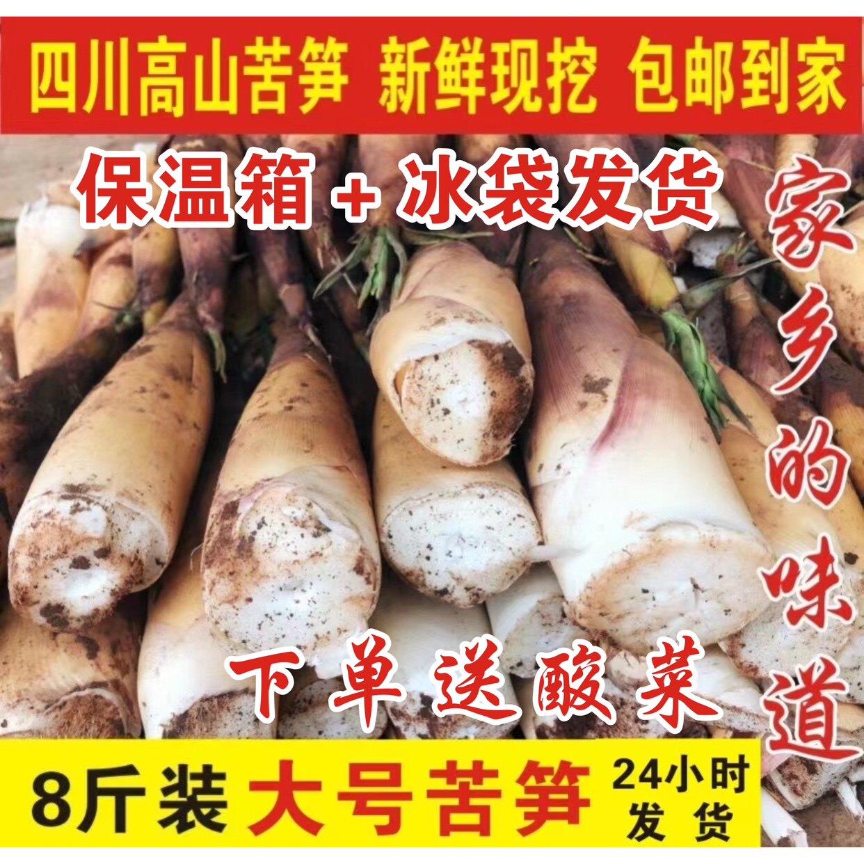 四川乐山新鲜苦笋宜宾甜苦笋春笋嫩笋现挖现发图片