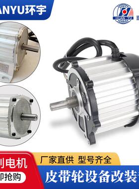 电动三轮车电机永磁直流无刷设备改装皮带轮48v24v60v500w电动机