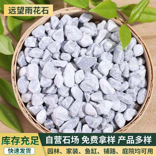 灰色水洗石 厂家黑色洗米石砾石 园林造景工程铺路水磨小石子