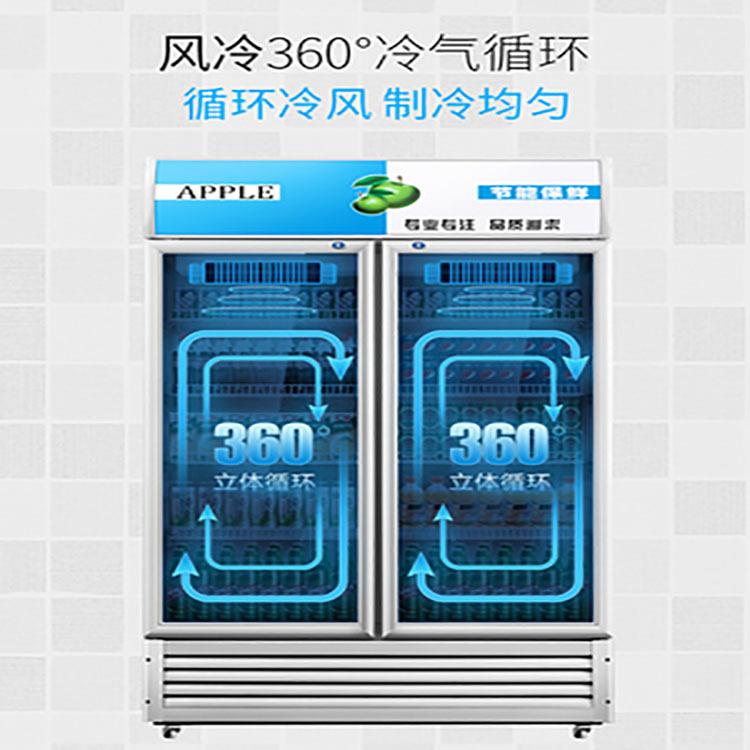 冷藏柜保鲜柜展示柜立式饮料柜商用单门家用冰柜商用冷柜水柜