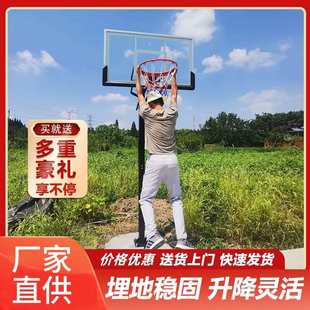 成人户外地埋式 篮球架030可升降室内外钢化玻璃实心篮筐篮球架