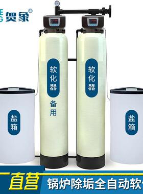 工业锅炉软化水处理设备全自动1地下井水家用钠离子交换软水机2吨