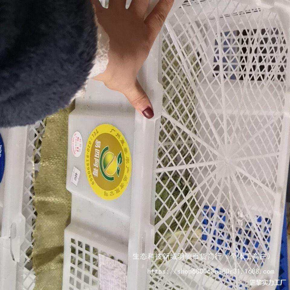 塑料筐运输筐鸽子筐水果筐水果篮冷藏筐白色筐采摘篮活禽筐无