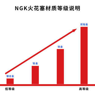 NGK双铂金火花塞95463大众新捷达桑塔纳凌渡途安朗行1.4/1.4T/1.6