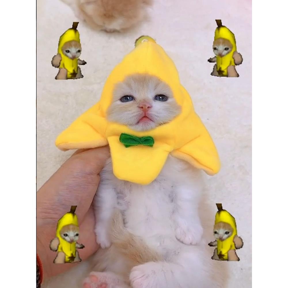 香蕉猫头套宠物猫咪可爱毛绒公仔手作帽子配饰香蕉猫发声挂件礼物
