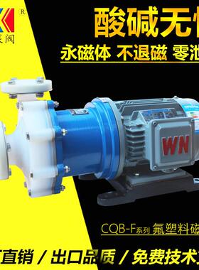 安徽氟塑料耐腐泵CQB65-50-150F铁盐卸药泵化工卸料泵厂家