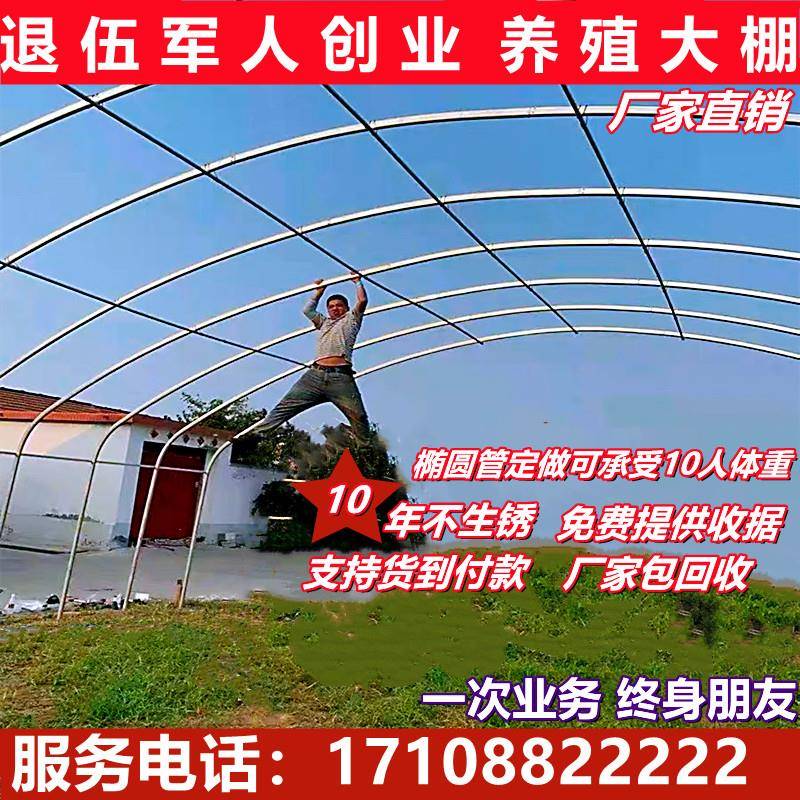 简易温室大棚骨架家用全套连栋蔬菜棚配件 镀锌钢管养殖鸡舍猪舍