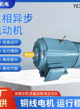 供应YE3三相异步电动机380V4极交流电机90w铜芯立卧式三相电动机