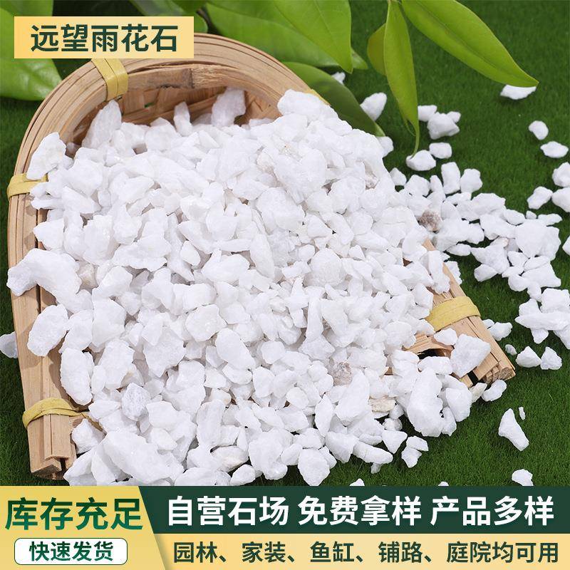 白色鹅卵石雪花白 厂家盆栽多肉铺面白色小石子园林景观石子