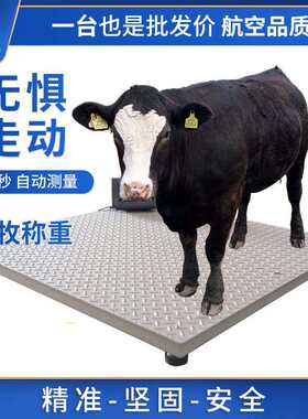 南京不锈钢型电子小型磅秤物流电子秤1吨2吨吨称猪牛畜牧地磅秤