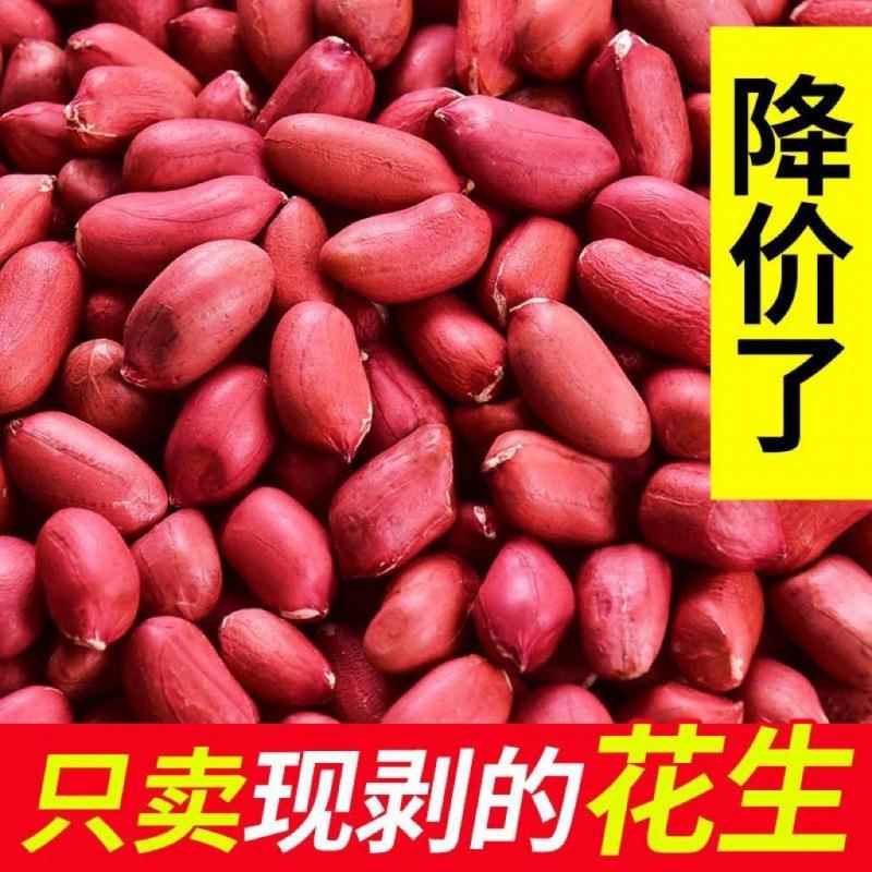 花生新货红皮花生米斤无壳生四粒生米红衣红花生米农家特产