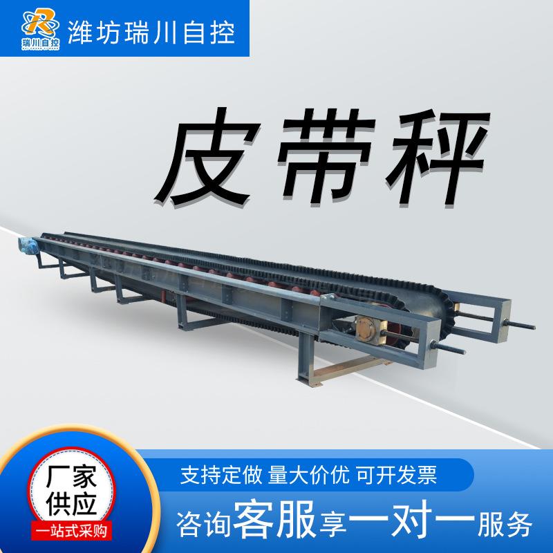 化肥皮带秤智能控制氮磷钾复合肥有机肥定量给料机吉林皮带称