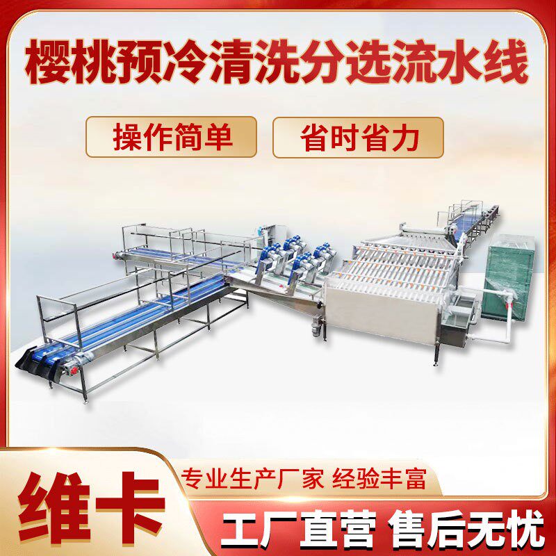 龙眼圣女果预冷清洗分拣流水线 大樱桃樱珠自动选果机 预冷处理