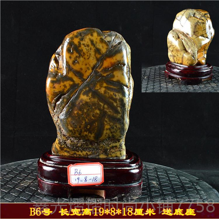 正品广大化石造型原石客厅摆件天然石石西头泰山石观赏奇石大湾包