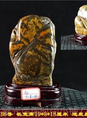 正品广大化石造型原石客厅摆件天然石石西头泰山石观赏奇石大湾包