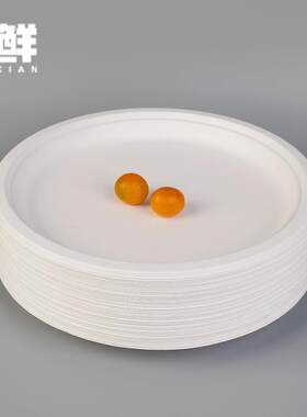 一次性纸盘子幼儿园手工DIY绘画画蛋糕烧烤餐盘纸碟子大纸盘12寸