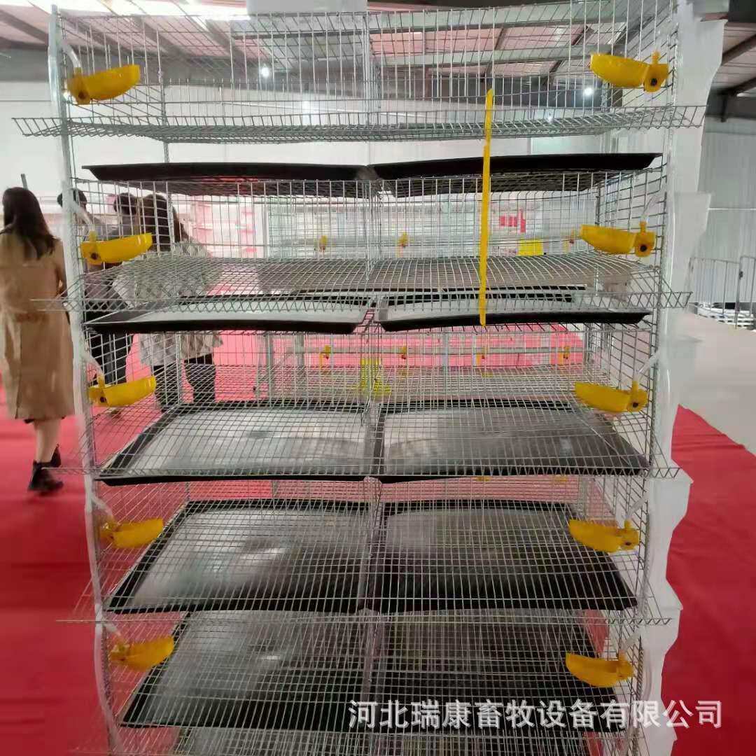 鹌鹑笼立体6层镀锌丝焊接鹌鹑养殖笼育雏笼H型立体式连体育雏笼