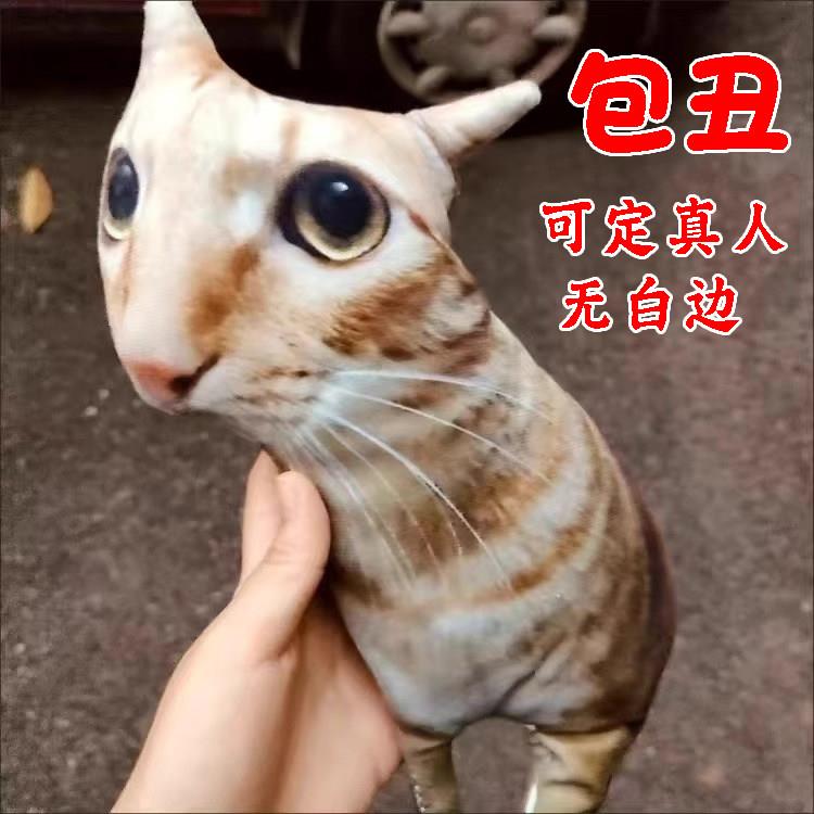 无白边异形宠物照片抱枕 来图定制家用恶搞猫狗玩偶 长边45cm图片