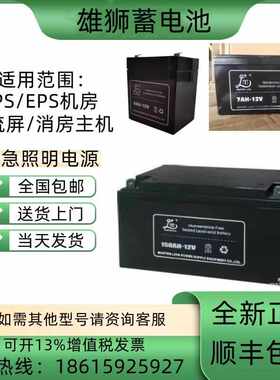 雄狮蓄电池12V7AH24AH38AH65AH100AH120AH150AH200AH直流屏 消防