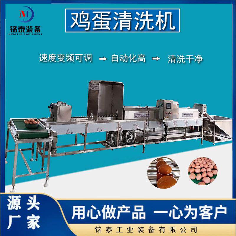 蛋品类清洗设备 鸡蛋鸭蛋洗蛋机 泥蛋咸鸭蛋风干消毒喷码流水线