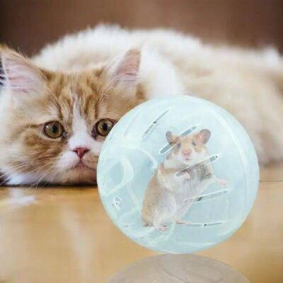 Hamster Exercise Balls Jogging Wheel For Hamsters Safe