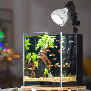 鱼缸缸草爆灯仿光用太阳水族led雨林补光谱螺口藻聚家用水草光灯