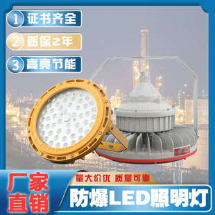 厂房隔爆型加油站新黎明防水100W化工厂投光泛光灯 LED防爆灯仓库