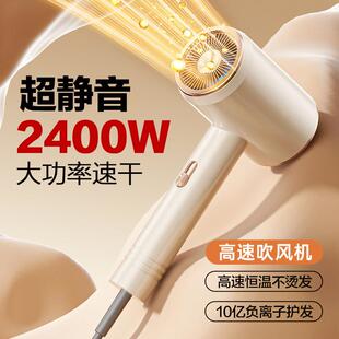 雷曼大功率家用高速吹风机大风力速干 干负离子护发恒温冷热吹风