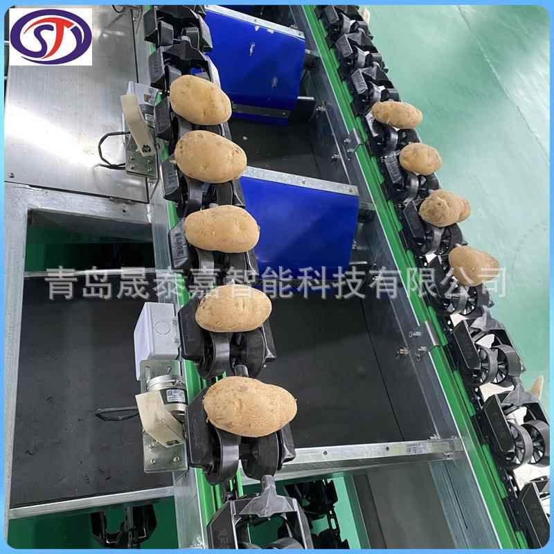 安丘水蜜桃自动选果机沃柑猕猴桃智能重量分选机梨大小分级设备