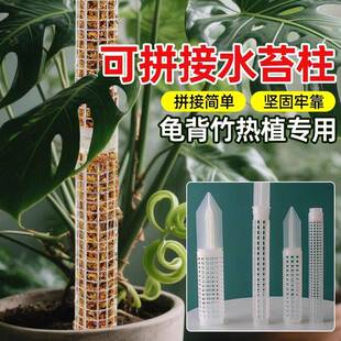 水苔柱可拼接龟背竹爬藤植物攀附柱热值专用绿萝攀爬住固定支撑架