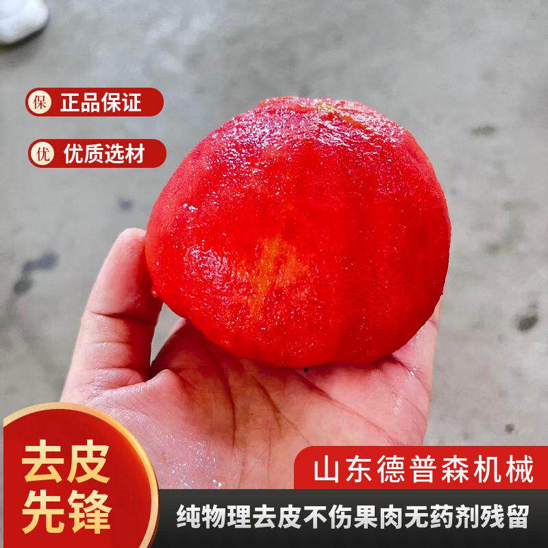 温压纯物理果蔬蒸汽去皮机商用全自动番茄桃子脱皮设备