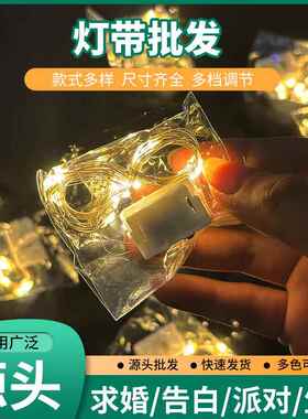 灯串小led彩灯串铜线灯纽扣灯带电池盒led灯串节日花束装饰氛围灯