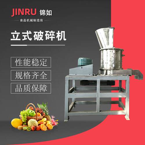 立式破碎机商用果蔬榨汁加工设备大型冲浪洗果机