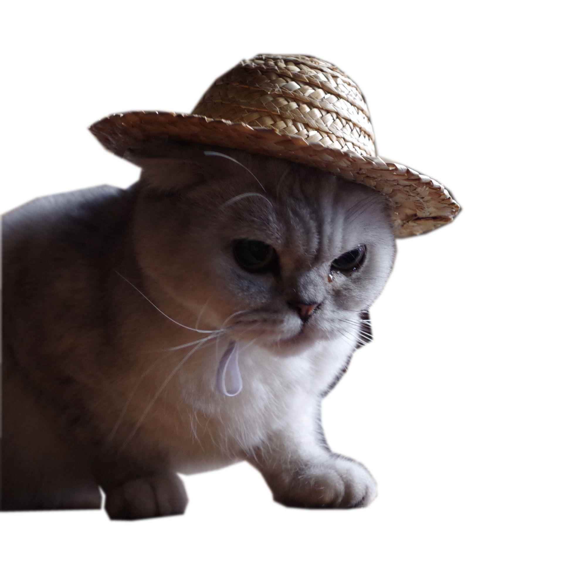 宠物用品草帽 农夫帽子 猫咪小草帽 遮阳帽子麦秆草帽亚马逊爆款