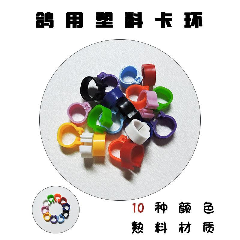 大号无字识别环鸽子足环彩色卡环信鸽用品塑料10色宽型