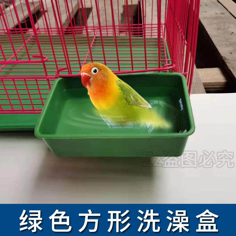 鸟用洗澡盒方盒洗澡盆塑料盒大食盆配件洗澡盒鸟用品,宠物/宠物食品及用品,鸟用洗澡盒/器,淘宝优惠券,粉丝福利购,淘宝优惠卷