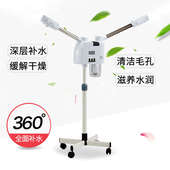 新款 泰东冷热熏蒸仪家用蒸面机单双管美容院冷热喷雾机蒸汽冷喷