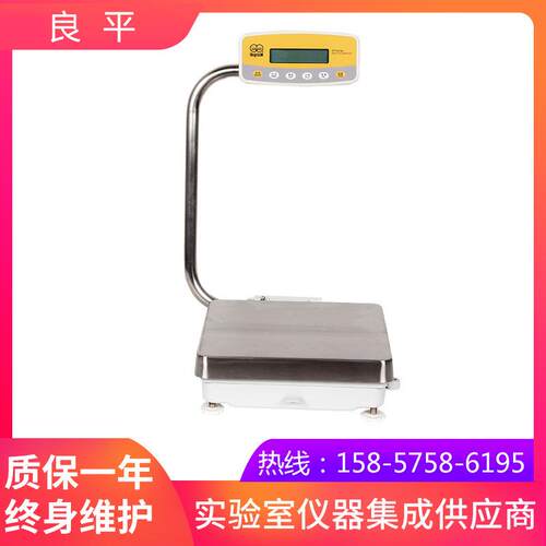 上海良平YP30K-1大称量电子天平