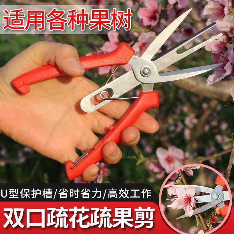 双口疏果疏花剪 农用疏花剪刀 猕猴桃梨树双口稀果稀花剪双口剪