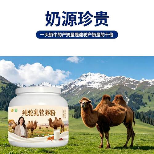 中老年纯驼乳粉日常冲饮高钙温和驼奶冲调粉厂家直销正品专用