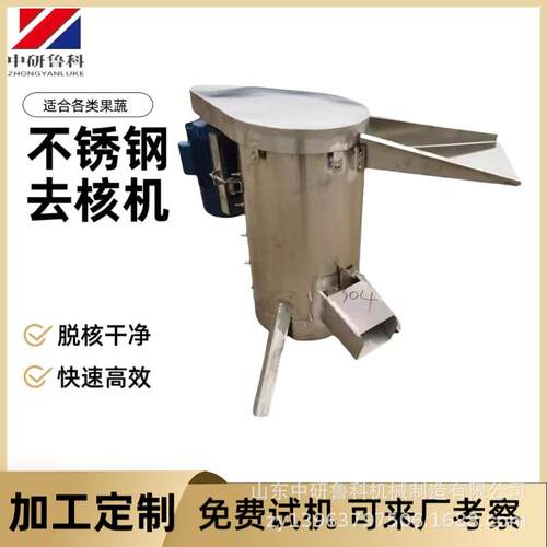 水果果肉破碎脱核机 大型核果去核设备 龙眼西梅荔枝工业去核机